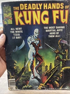 The Deadly Hands of Kung Fu March 1976, Vol. 1, No. 22, Stan Lee Presents - Picture 1 of 11