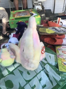 TY Beanie Baby - CORAL the Ty-dyed Fish (4th Gen hang tag) (6 inch) - MWMTs - Picture 1 of 3