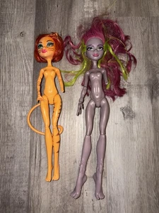 Monster High Marisol Coxi und Toralei Stripe. Siehe Beschreibung - Bild 1 von 4
