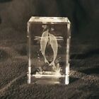 Glass Paperweight Dolphins Laser Art Heart Clear Rectangular 3D Underwater Scene