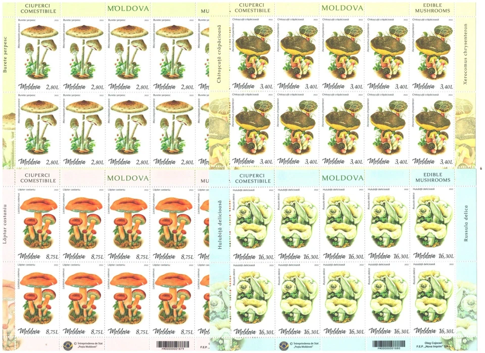 Moldova 2022 Mushrooms , 4 sheetlets, MNH - Image 1 of 1