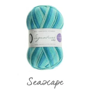 Wys Signatur 4 Ply Strickwolle Garn 100g - 873 Seascape - Bild 1 von 1