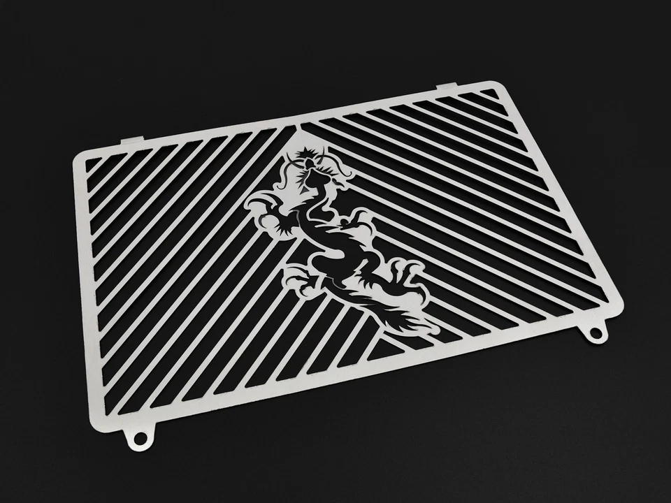 Rejilla de protección del radiador ZIEGER compatible con: Kawasaki Z750 | Z1000 Dra Foto 1 de 1