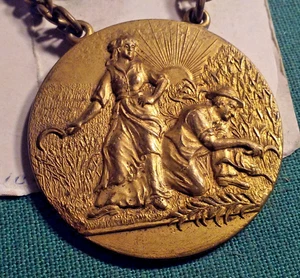 old rare NATIONAL AGRICULTURAL ASSOCIATION Brass award Medallion to DOROTHY RYAN - Picture 1 of 4