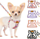 No Pull Dog Harness With Leash - Soft Lightweight Floral Pattern Puppy Harnes...