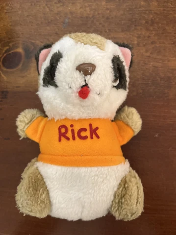 Hasbro Shirt Tales RICK RACCOON Super Rascal  Plush Stuffed Animal VTG 1980 Cover