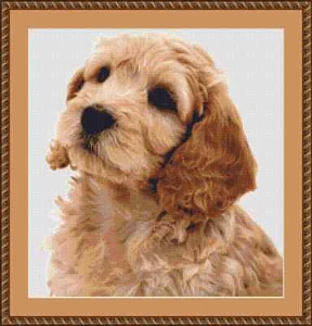 Cockapoo Dog Cross Stitch Kit - Picture 1 of 2