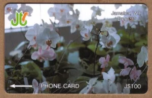 Tarjeta telefónica usada J$100 Orchids (11JAMC...) - Imagen 1 de 1