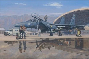 WONG F-15E Strike Eagle Supermarine Spitfire 4a ala de combate con Robert Taylor - Imagen 1 de 2