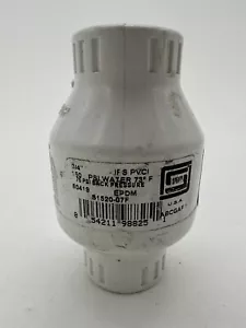 Rückschlagventil 3/4"" PVC Schaukel 02-06 MasterCraft 300943 - Bild 1 von 4