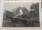 Photo Ancienne Vintage Snapshot Enfant Dos Âne Campagne Child Donkey Countryside
