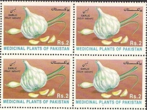 Pakistan: Medicinal Plants series, 1997, Block of 4,MNH - Picture 1 of 1