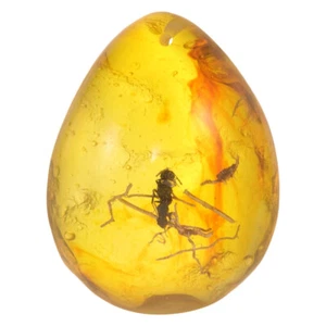 Insect Amber Jewelry Specimen with inside Decor for DIY Crafting - Bild 1 von 12