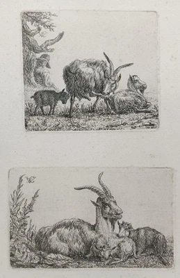 Ziegen Jungtiere Hirte - Carl von Vittinghoff 2 Radierungen Tiere Tierstück 1807 - Bild 1 von 4