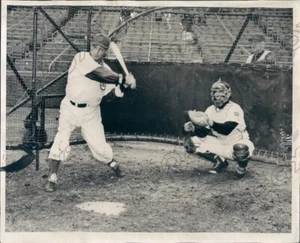 1951 Chicago Cubs Baseball Phil Cavarretta Mickey Owen Frank fresco - Foto 1 di 2