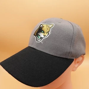 Kane County Cougars Hat Cap Strap Back Mens Minor League Baseball Miller Lite - Picture 1 of 8