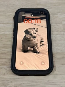Apple iPhone 12 Pro - 256 GB - Gray (Unlocked) Very Good Condition with Otterbox - Afbeelding 1 van 4