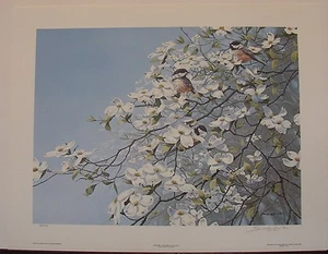 John Seerey-Lester "Spring Mist-Chickadees" S/N Ltd Ed Print RARE! #80/950 - Picture 1 of 6