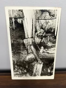 The Ghost of the Tantanoola Tiger Caught on Camera 1930s Postcard - Picture 1 of 3