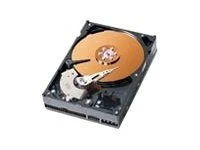 320GB Western Digital Caviar WD3200JB WD3000JB IDE PATA HDD 3.5" WD 300GB - Image 1 of 1