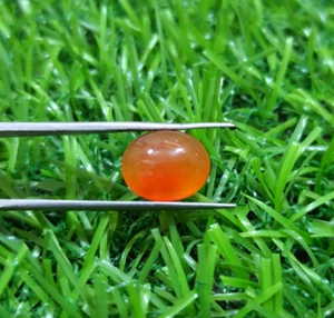 Excellent Top 4.20 Crt Orange Carnelian Oval Cabochon Loose Gemstone For Jewelry - Picture 1 of 6