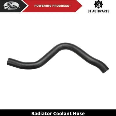 For 1995-1997 Honda Accord 2.7L V6 GAS Radiator Coolant Hose Lower Gates 1996 - Image 1 of 4