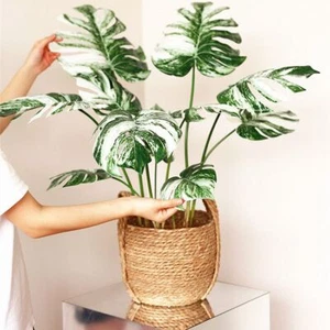 70-88cm Artificial Plant Plastic Palm Tree Leaves Office Hotel Home Garden Decor - Picture 1 of 11