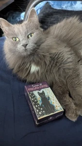 Heidnische Katzen Mini Tarot Karten Deck - Bild 1 von 4