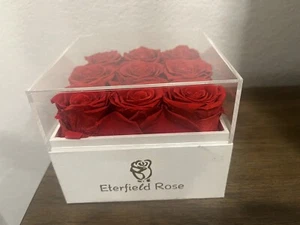 The Perfect Gift 9 Eternal Red Preserved Ecuadorian Roses in a Glass Vase - Picture 1 of 4
