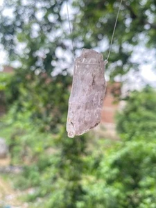 Kunzite rough Polished drilled Beads  for jewelry making - Picture 1 of 4