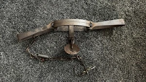 Oneida Victor Double Long Spring Trap with Drowning lock - Picture 1 of 11