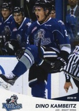Dino Kambeitz 2018-19 Victoria Royals