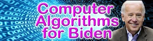 anti-biden computer fraud bumper sticker decal - Picture 1 of 1