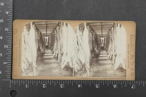 Embalaje de armaduras de cerdo en abundancia Chicago 1901 por CL Wasson Stereoview DE COLECCIÓN - Imagen 1 de 3
