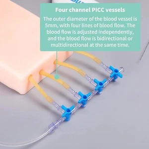 4 vasi sanguigni guidati ad ultrasuoni modello puntura PICC pratica circolazione sanguigna - Foto 1 di 8