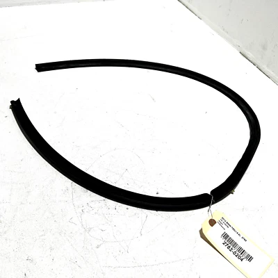 BMW 750 Li 2009-2015 puerta trasera izquierda del lado del conductor sello inferior resistente al clima OEM Foto 1 de 4