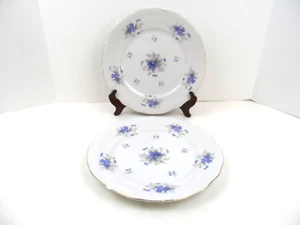 Breton Violetta China Dinner Plates 10.5" Japan - Lot of 2 - Picture 1 of 6