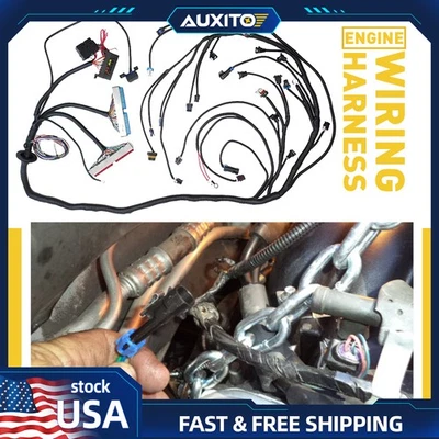 LS Swap LS1 Motor ARNÉS INDEPENDIENTE T56 4.8/5.3/6.0L Manual Tran DBC 1997-2006 Foto 1 de 4