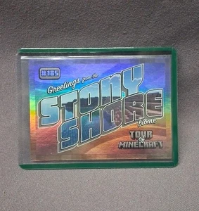 STONY SHORE BIOME 2024 PANINI MINECRAFT TOUR PARALELO PLATEADO 096/475 #185 - Imagen 1 de 3