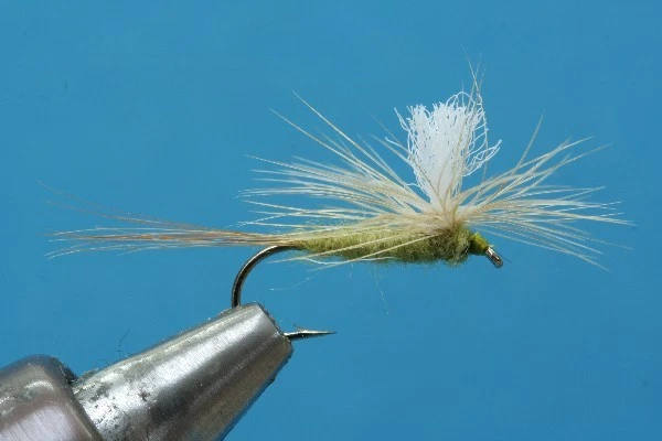 Fliegentom Trockenfliege - 3 Stück olive Parachute - Bild 1 von 1