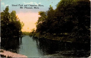 Island Park CHIPPEWA RIVER Mt. Cartolina Pleasant, Michigan MI - Foto 1 di 2