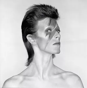 Ex - Exhibition - Aladdin Sane Contact Sheet Print #02 - Official - Picture 1 of 1