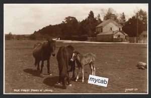 Postcard Linford nr Ringwood New Forest Hampshire ponies posted 1937 RP Judges - Picture 1 of 2