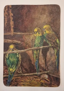 Altes Aquarell Anton Pfeiffer 1892 - 1978 Wien 3 Wellensittiche signiert Datiert - Bild 1 von 4