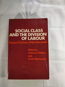 Sofa Class In A Division Of Labour Essays in Honor of Llya Neustadt by Giddens - Foto 1 di 3
