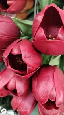 TULIPANES REAL TOUCH Rojo Oscuro Artificial ¡HERMOSOS! 15" Paquete Tulipán NUEVO Set 7 Foto 1 de 4