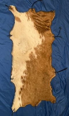 FORT/FT WILEDERNESS Campgrounds Original Disney Prop ~Store Display Deer Skin - Image 1 of 4