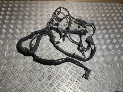 Telar cableado instalación motor gasolina Volkswagen Fox 2005 6Q0971615G VSD10632 Foto 1 de 4