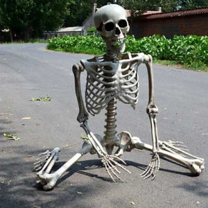 Full Life Size Human Hanging/Sitting Skeleton Prop Halloween Party Decoration - Picture 1 of 11