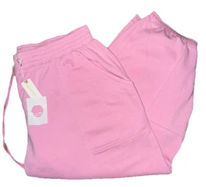 NWT Daily Practice by Anthropologie Zola Joggers Sz. XL Pink $88 - Picture 1 of 8